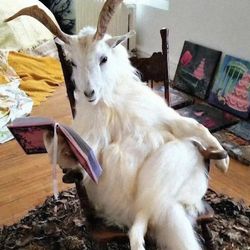 paggy.xixi's profile image