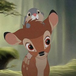 Searchwell Hainds's profile image
