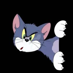 Haka's profile image