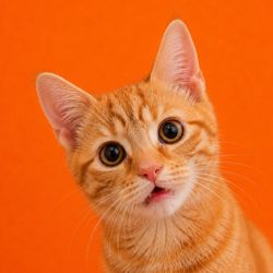 orange boy cheeto's profile image
