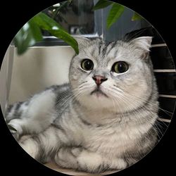 DYLAN EFFIE's profile image