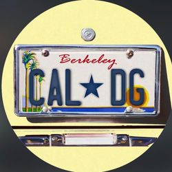UC Berkeley Delta Gamma's profile image