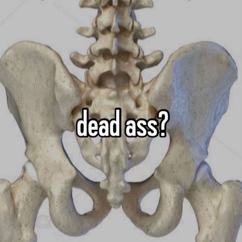 Post Preview Image