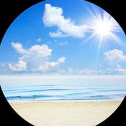 tdhfgxb cm's profile image
