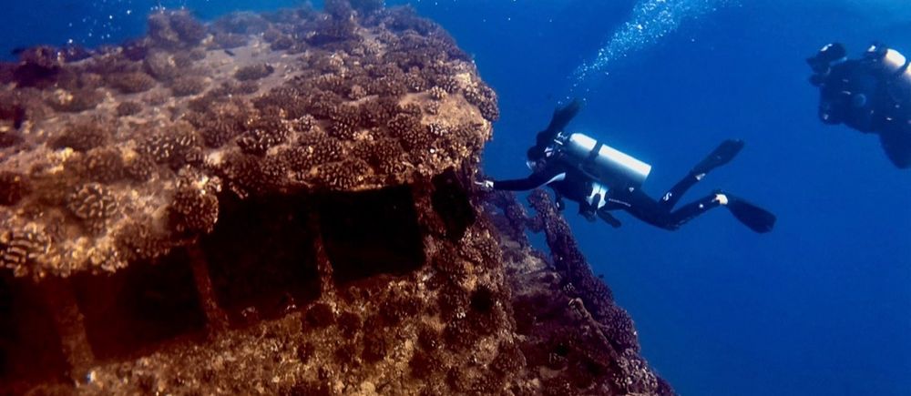 Buddy