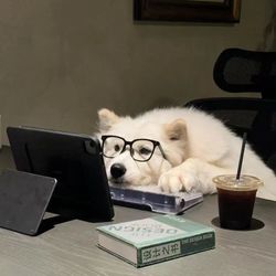 Animal Videos🥰's profile image