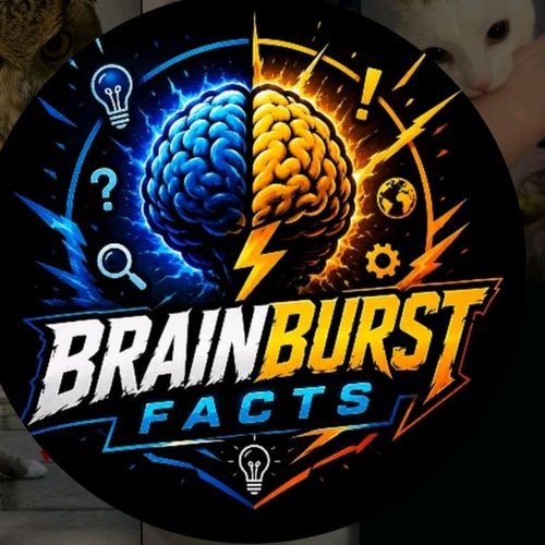 Post Preview Image