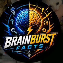 Brainburst facts's profile image