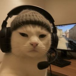 Guuico Buuee's profile image