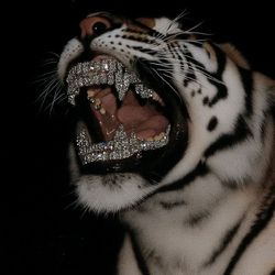 Hardcore_69's profile image