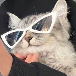 Xin Zing's profile image