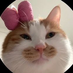 yf2ia9p1yccmh's profile image