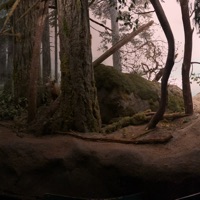 Nalish