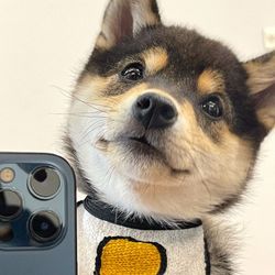是曼玉不是鳗鱼's profile image