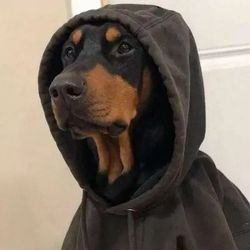 davidmovie09's profile image