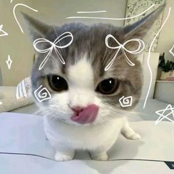 carlly's profile image