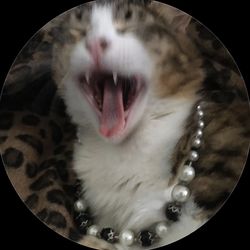 vincentoliva's profile image