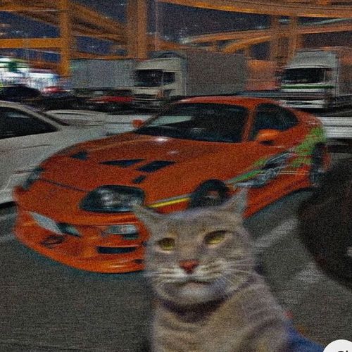Post Preview Image