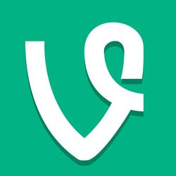 Vines's profile image