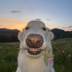 user2319971444953's profile image