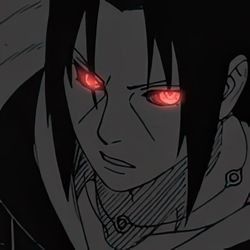 birnasa0's profile image