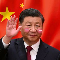 习近平 | 👑's profile image