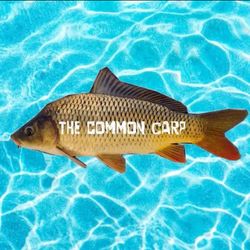 Fishing's profile image