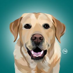 Magnus The Therapy Dog's profile image