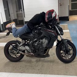 RhythmicRider's profile image