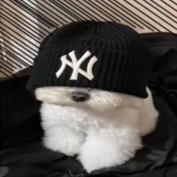 Wıll↯.'s profile image