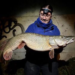 Brycefishing's profile image