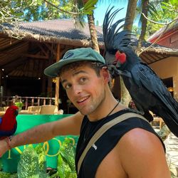 Jack’s Travelling 🌍's profile image