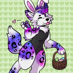 Astra's profile image