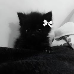 jerx's profile image