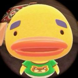 Chimmy's profile image