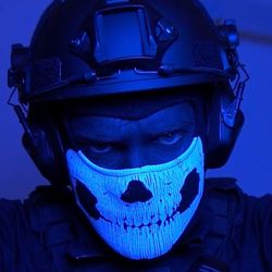 VeiledVice's profile image