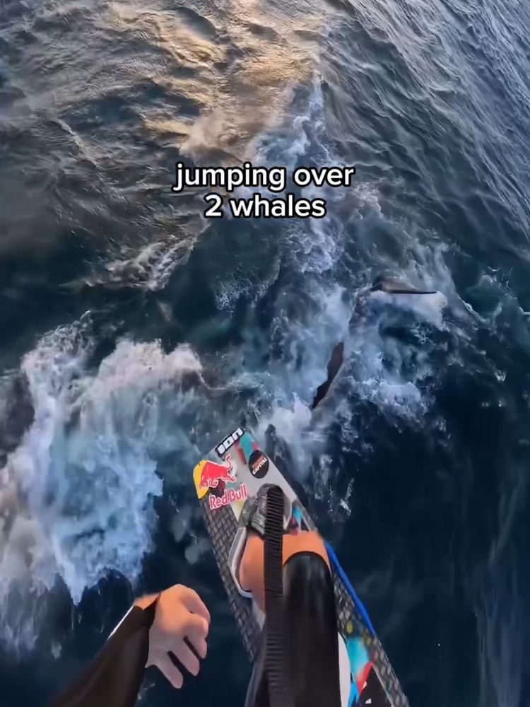 Video Post Preview