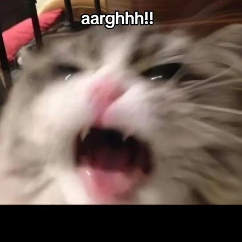 Post Preview Image
