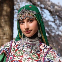 Ariana Elahi's profile image