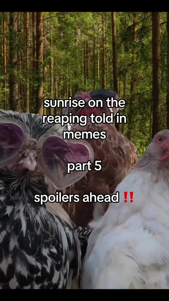 Video Post Preview