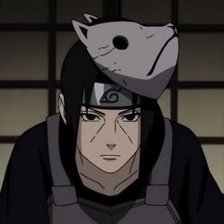 Showtime's profile image