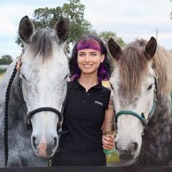 molly & the greys's profile image