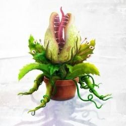 Little Shop of Horrors's profile image