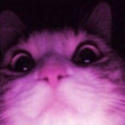 Backpackaa's profile image