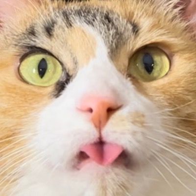 Post Preview Image