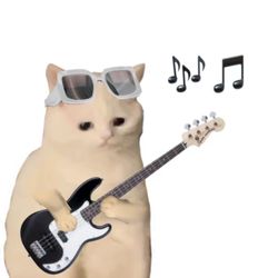 Adventures of cute pets's profile image