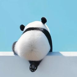 schraclm60g's profile image
