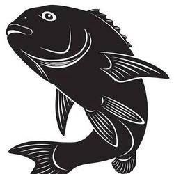 Videos de pesca's profile image