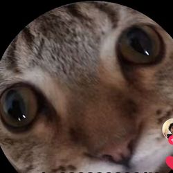 BubbynMittens's profile image