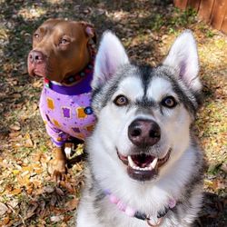 Kairo and Willow 💕's profile image